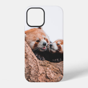 CUTE KOALA BEAR FAMILY iPhone 12 CASE