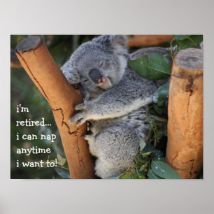 Cute Koala Bear, i'm retired, i can nap anytime!! Poster