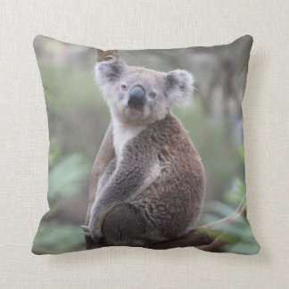 Cute Koala Bear in a Tree Animal Throw Pillow