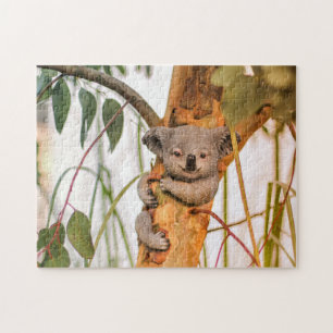 cute koala bear jigsaw puzzle