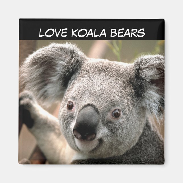 Cute Koala Bear Magnet (Front)