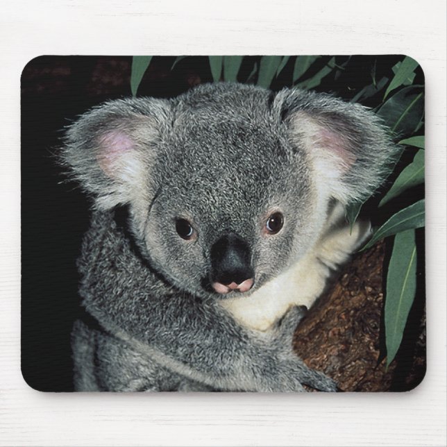 Cute Koala Bear Mouse Pad (Front)