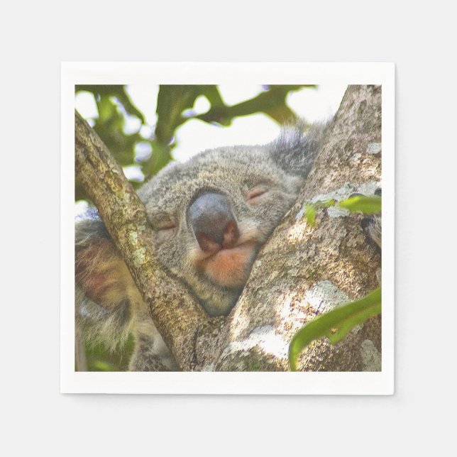Cute Koala Bear Napkins (Front)