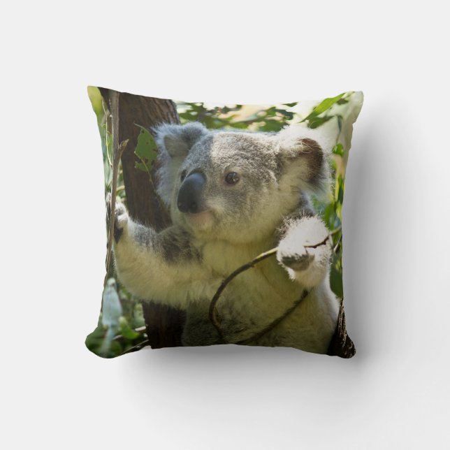Cute Koala Bear Pillow (Front)