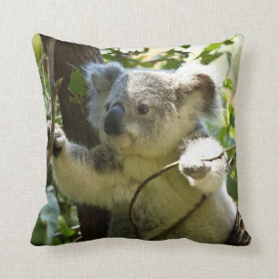 Cute Koala Bear Pillow
