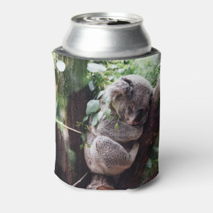 Cute Koala Bear relaxing in a Tree Can Cooler