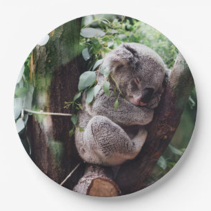 Cute Koala Bear relaxing in a Tree Paper Plate