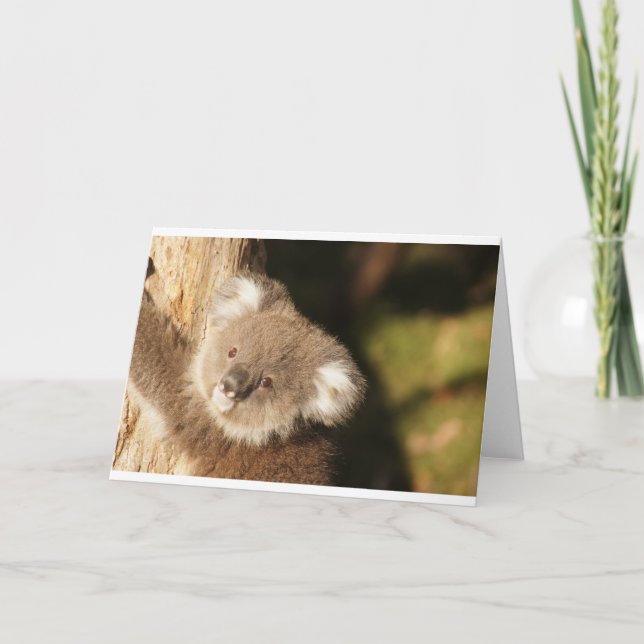 Cute Koala Bears Party Shower Birthday Card (Front)