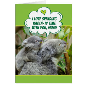 Cute Koala Bears Spending Quality Time Together
