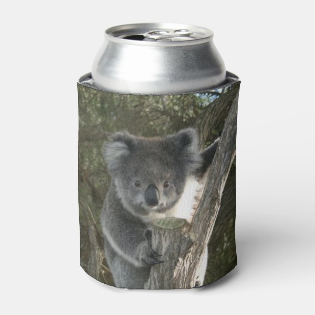 Cute Koala Climbing a Tree Can Cooler (Can Front)