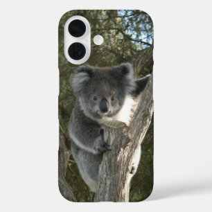 Cute Koala Climbing a Tree iPhone 16 Case