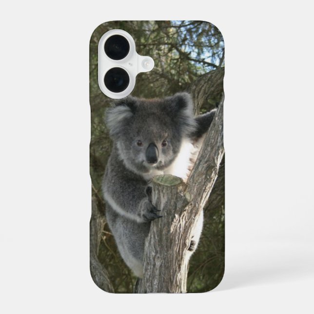 Cute Koala Climbing a Tree iPhone 16 Case (Back)