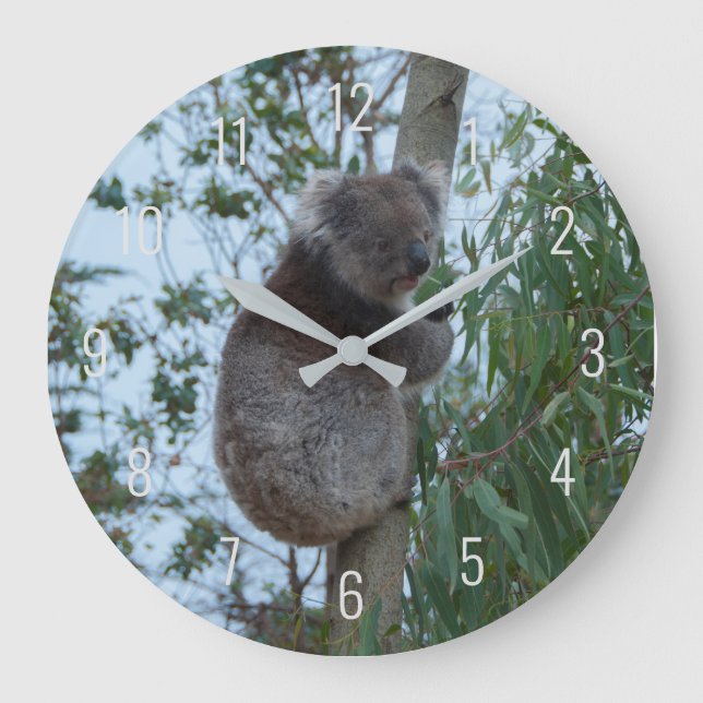 Cute Koala Climbing in a Tree Australia Large Clock (Front)