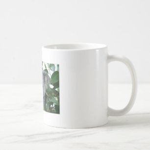 Cute Koala Coffee Mug
