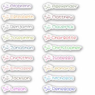 Cute Koala Custom Multiple Names Stickers