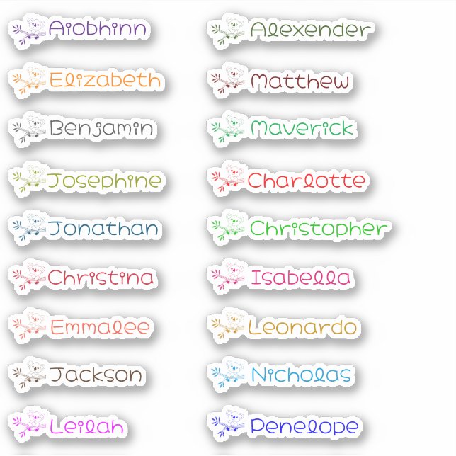 Cute Koala Custom Multiple Names Stickers (Front)