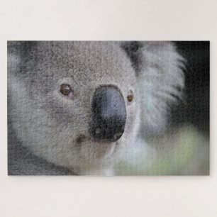 Cute Koala Face Marsupial Animal Nature Australia Jigsaw Puzzle