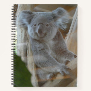Cute Koala Notebook