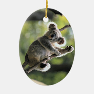 Cute Koala ornament