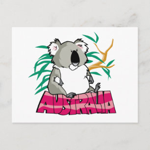 Cute Koala Postcard
