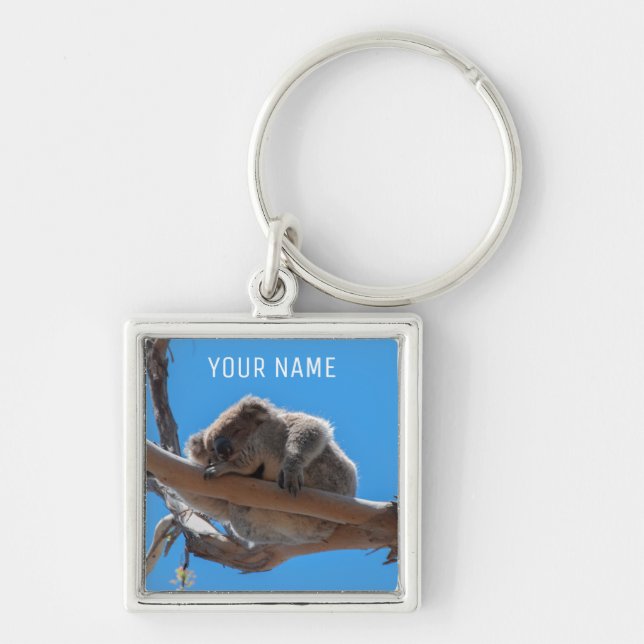 Cute Koala Sleeping in a Tree Australia Key Ring (Front)