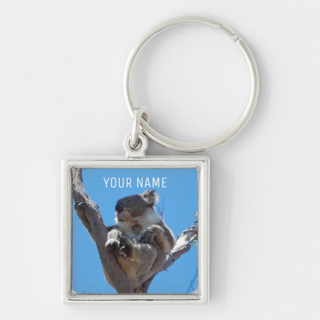 Cute Koala Sleeping in a Tree Australia Key Ring (Front)
