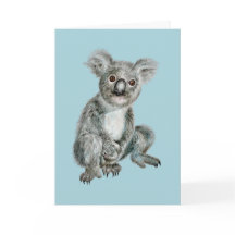 Cute Koala