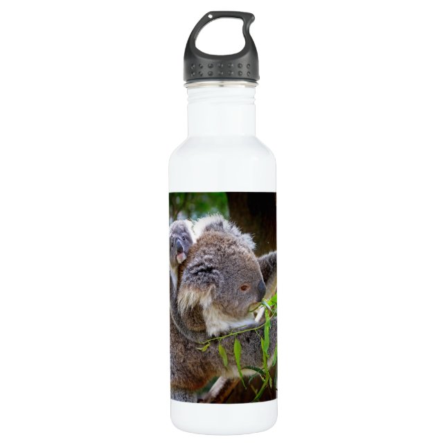 Cute Koalas 710 Ml Water Bottle (Front)