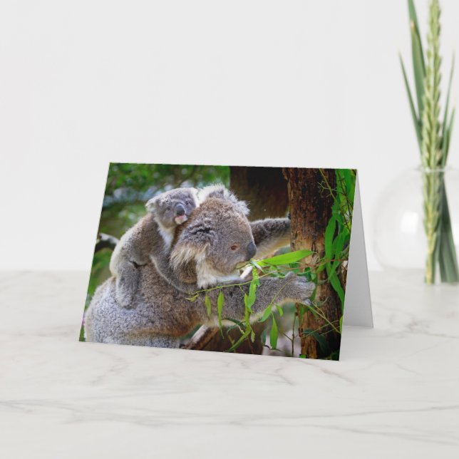 Cute Koalas Card (Front)