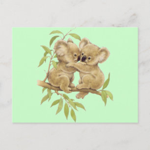 Cute Koalas Postcard