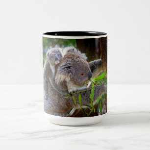 Cute Koalas Two-Tone Coffee Mug