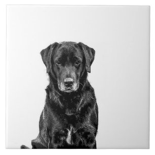 Cute Labrador Black Dog Puppy Pet Ceramic Tile