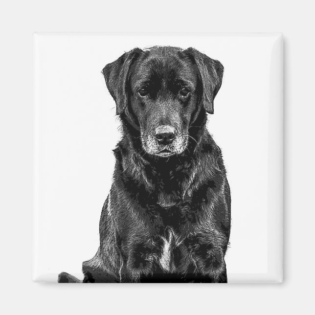 Cute Labrador Black Dog Puppy Pet Sketch Magnet (Front)