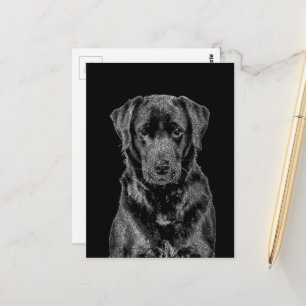 Cute Labrador Black Dog Puppy Pet Sketch Postcard