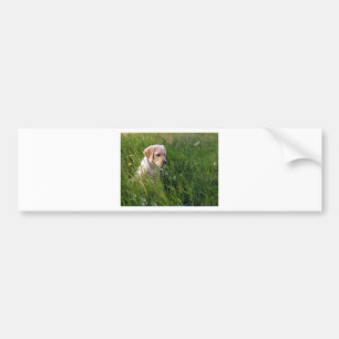 Cute Labrador Puppy in Grass Bumper Sticker