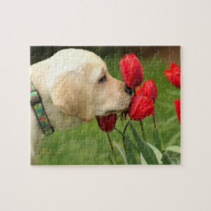 Cute Labrador Puppy Puzzle
