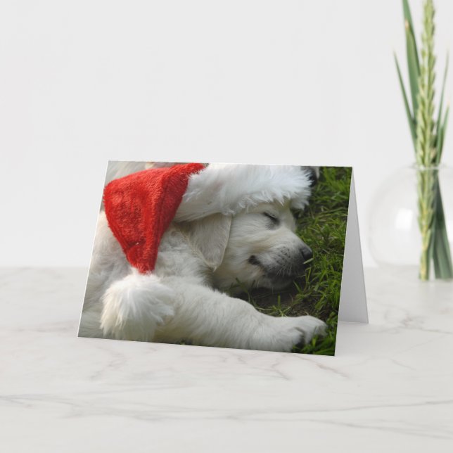 Cute labrador puppy with x-mas hat holiday card (Front)
