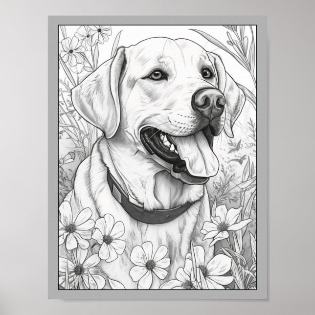 Cute Labrador Retriever Dog Colouring Poster (Front)