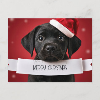 Cute Labrador Retriever Red Christmas Holiday Postcard