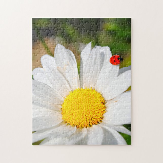 Cute Ladybird On Marguerite Daisy Flower Pretty Jigsaw Puzzle (Vertical)