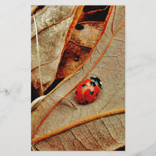 cute Ladybug costume personalise name gift