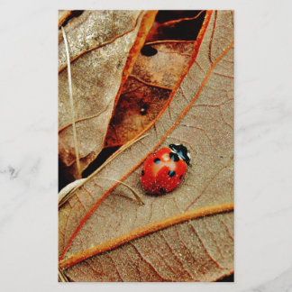 cute Ladybug costume personalise name gift