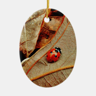 cute Ladybug custom personalise name gift Ceramic Ornament