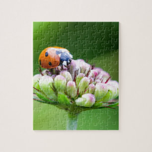Cute Ladybug Jigsaw Puzzle