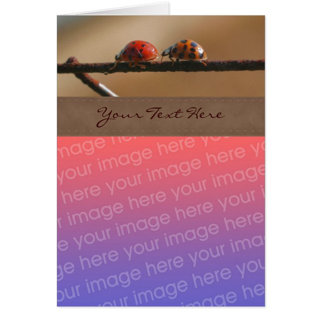 Cute Ladybug Pair Nature Your Photo Card (Front)