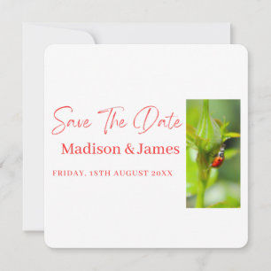 Cute ladybug Script Save the date invitation