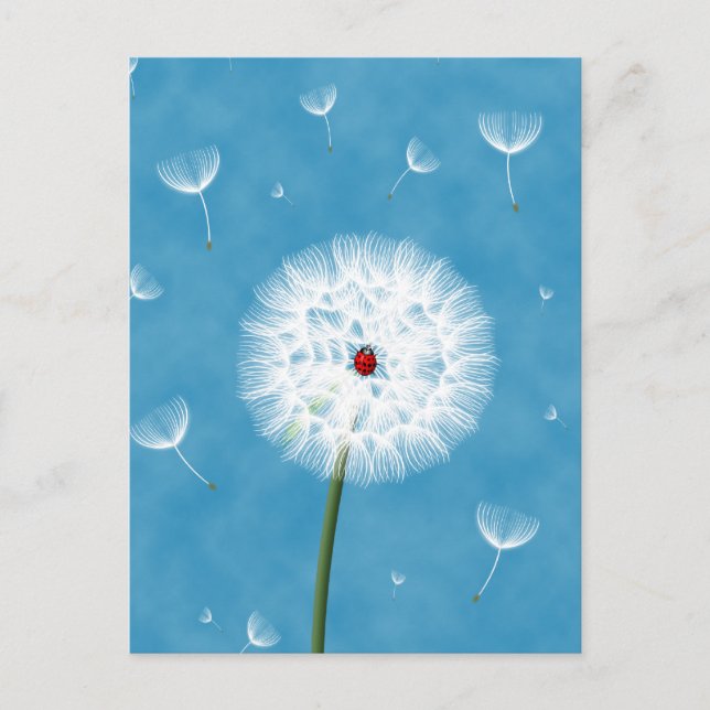 Cute ladybug sitting on top of a dandelion postcard (Front)