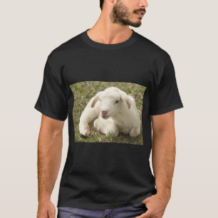 Cute Lamb Farm Sheep T-Shirt