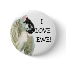 Cute Lamb Loves Ewe