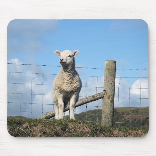 CUTE LAMB MOUSE PAD (Front)